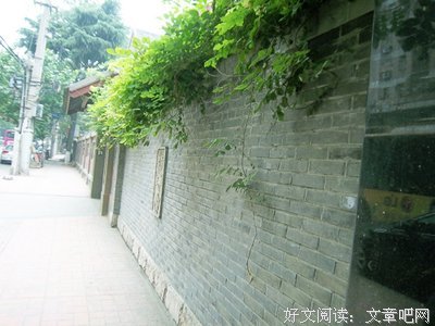 最经典的《唯一的星光》名句欣赏