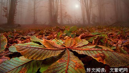 关于交朋友的语句