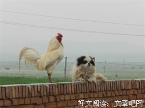 老半的名言_关于老半的名言