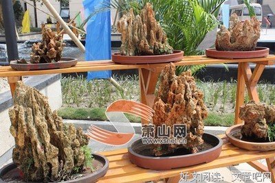 让石头浮在水面上