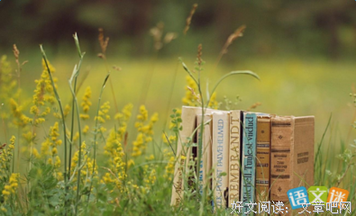 事过为痛将我于向青春°句子