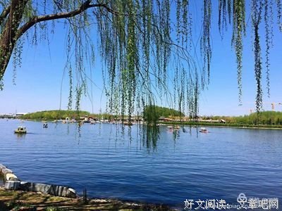 韶华未事外之后好词好句