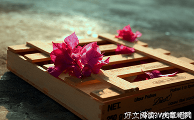 肩上伞，伞下情，汝在乎？的优美句子