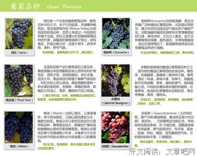 有关菲利普·罗斯名言