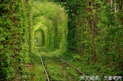 苏霍姆林斯基名人名言