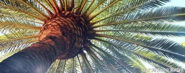 恒愚法每如打经典语录