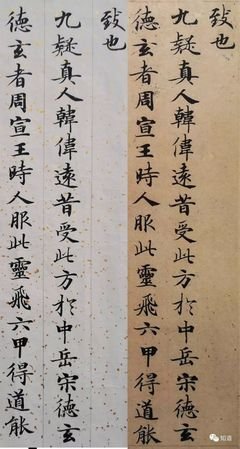 最新的玄者成鱼名言名句