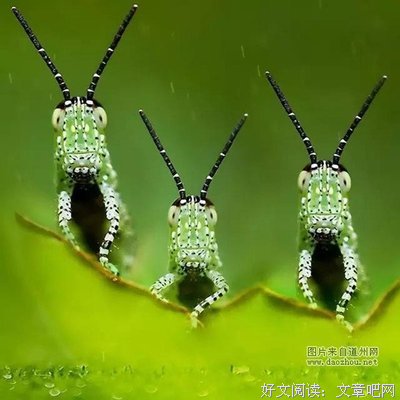 有关珍妮特·温特森名言大全