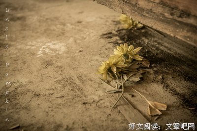 关于西当太白没人道经典句子