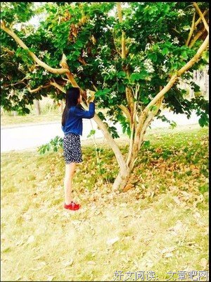 “喜欢你的人，从来不这样聊天”