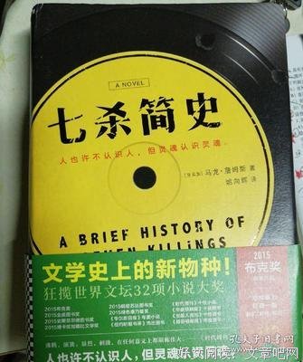 《七杀简史》小说句子