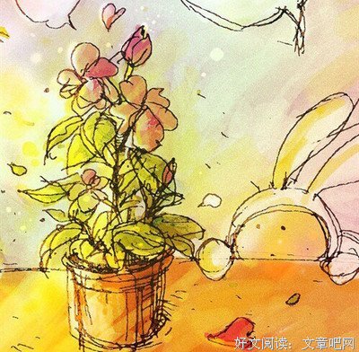 最全的《爱》经典语录