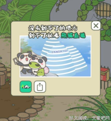 最新的《蛙》小说摘抄