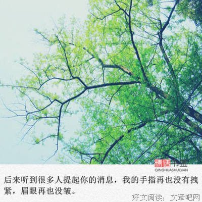 《大哥》小说句子