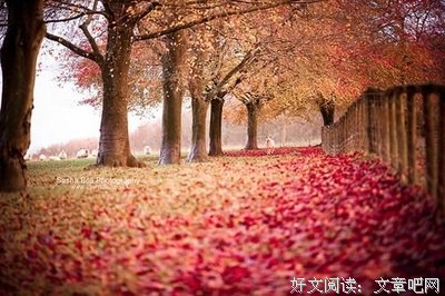 最新的《尊严》名句欣赏
