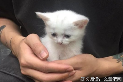 最新的《微信》经典语录