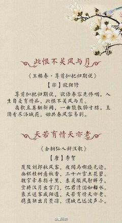 最新的《情人》经典名句