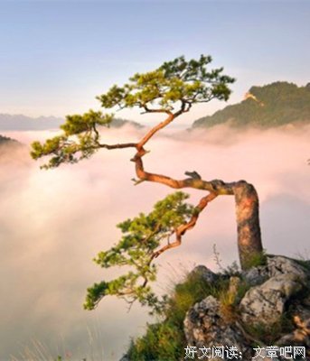 《我执》经典名句