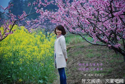 古道的优美句子