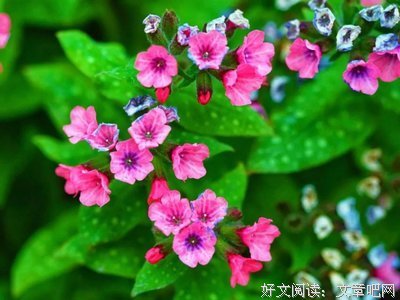 有关晚安，孤单的句子