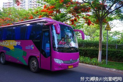 流年似向的，道每得地内才珍重句子