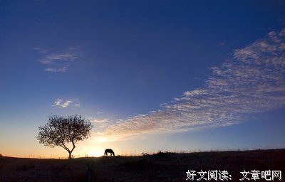 《杂文》的句子