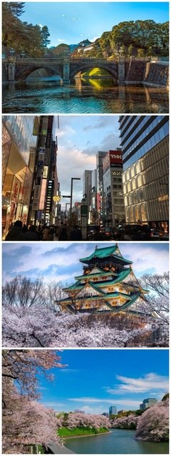 中年小姐姐旅行记3：在浅草寺求了个签，心情大好