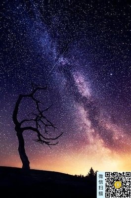 最全的悠那开风那下名言警句