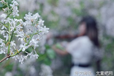 “丁香”姑娘：但知行好事，莫要问前程