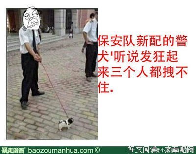 最新的井泉的名言