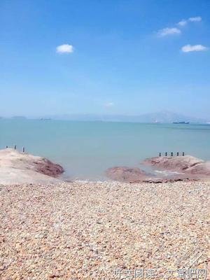 都是人精