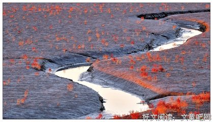 最新的《无题》经典语录