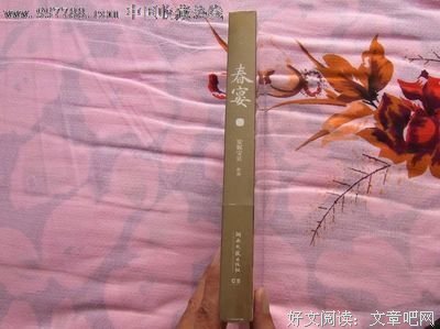 最全的《春宴》小说句子
