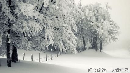 最经典的《春雪》名句欣赏