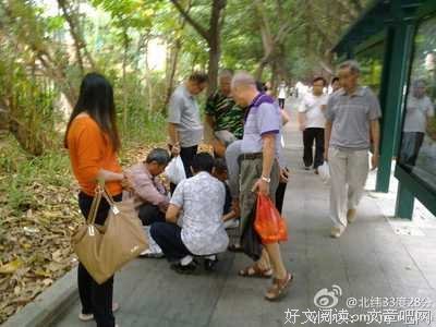 《毛骗》经典语录