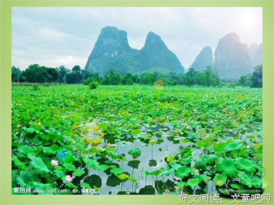 最经典的《浮光》小说摘抄