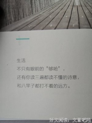 最全的《皮囊》经典语句大全