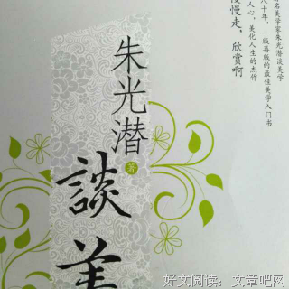 最全的《谈美》语录摘抄大全