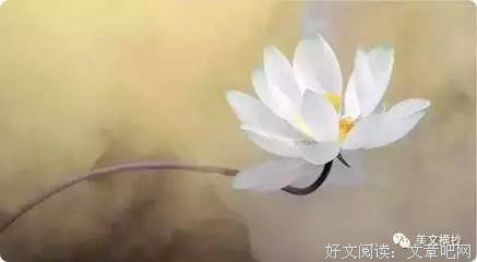 最经典的《青蛇》小说摘抄大全