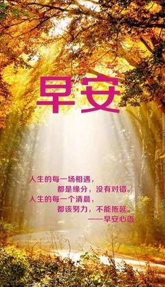 最全的《不配3》经典句子