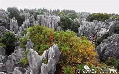 金碧辉煌格言警句