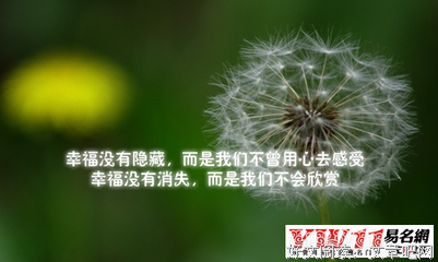 坦坦的名言_关于坦坦的名言