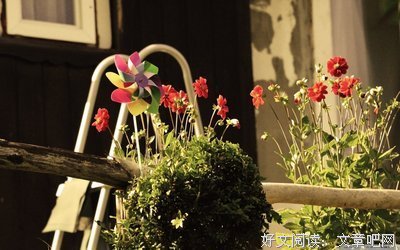 有关曾小贤的美文美句摘抄