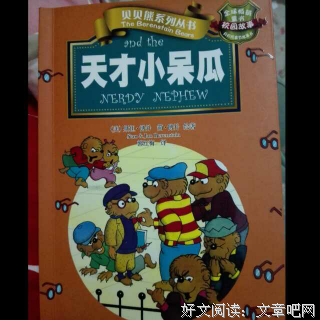 呆瓜 ｜ 有故事的地方一定有人