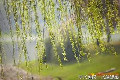 描写韩流的经典句子