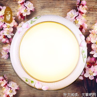 关于子兰的语句