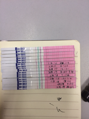 关于成阳的语句