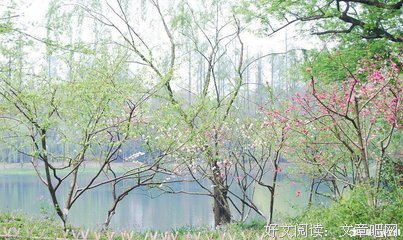描写动心忍性的经典句子