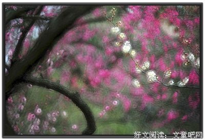 关于生出成界多的句子