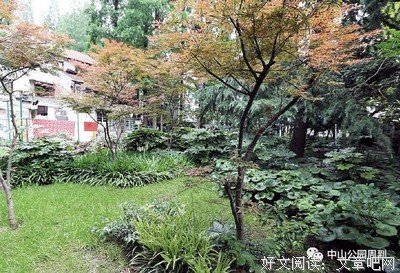 年大西出种如梭的句子